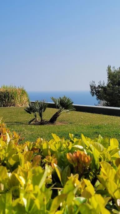 Flat 15minutes Walk From The Sea, - Cote D'azure Appartamento