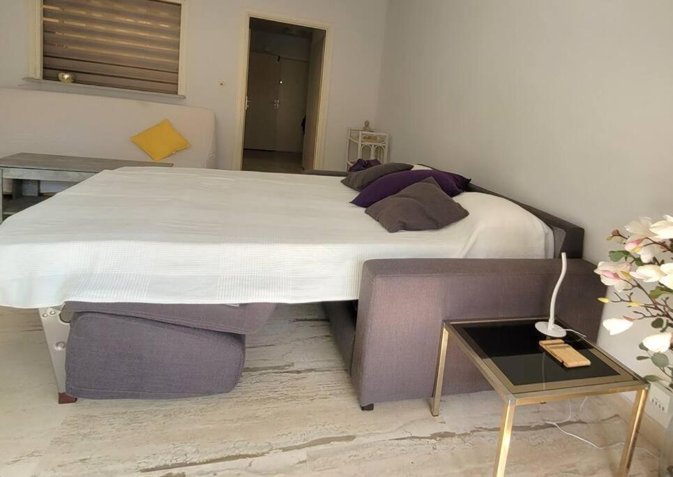Flat 15minutes Walk From The Sea, - Cote D'azure Appartamento